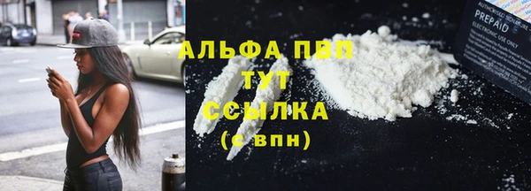 гидра Верхний Тагил