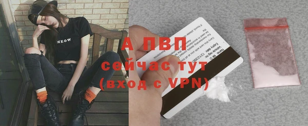 таблы Бородино