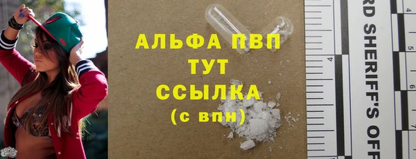 таблы Бородино