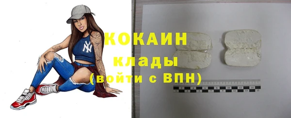 таблы Бородино