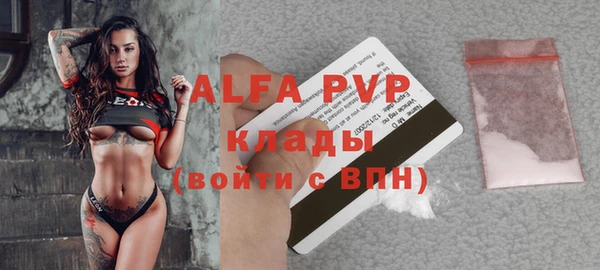 таблы Бородино