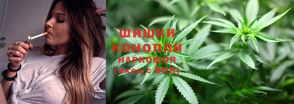 дживик Верея