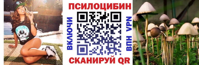 купить Весьегонск блэк спрут рабочий сайт Галлюциногенные грибы ЛСД